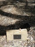 image of grave number 853497